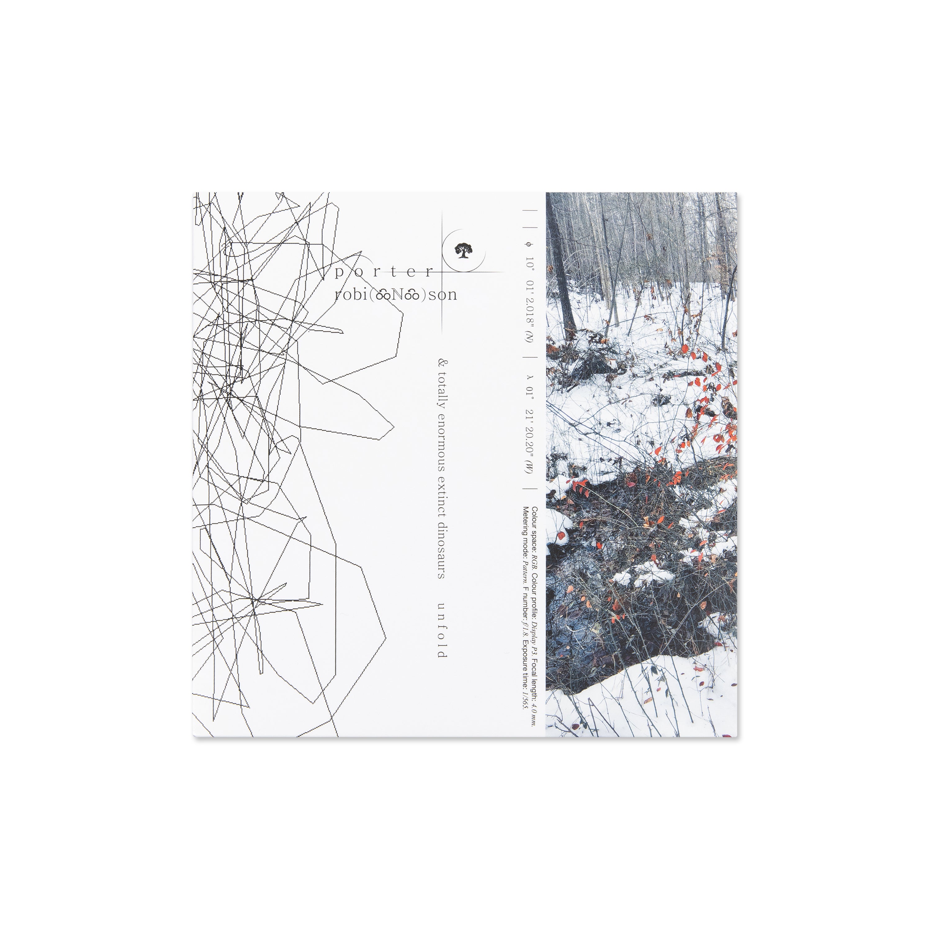 unfold 7" vinyl